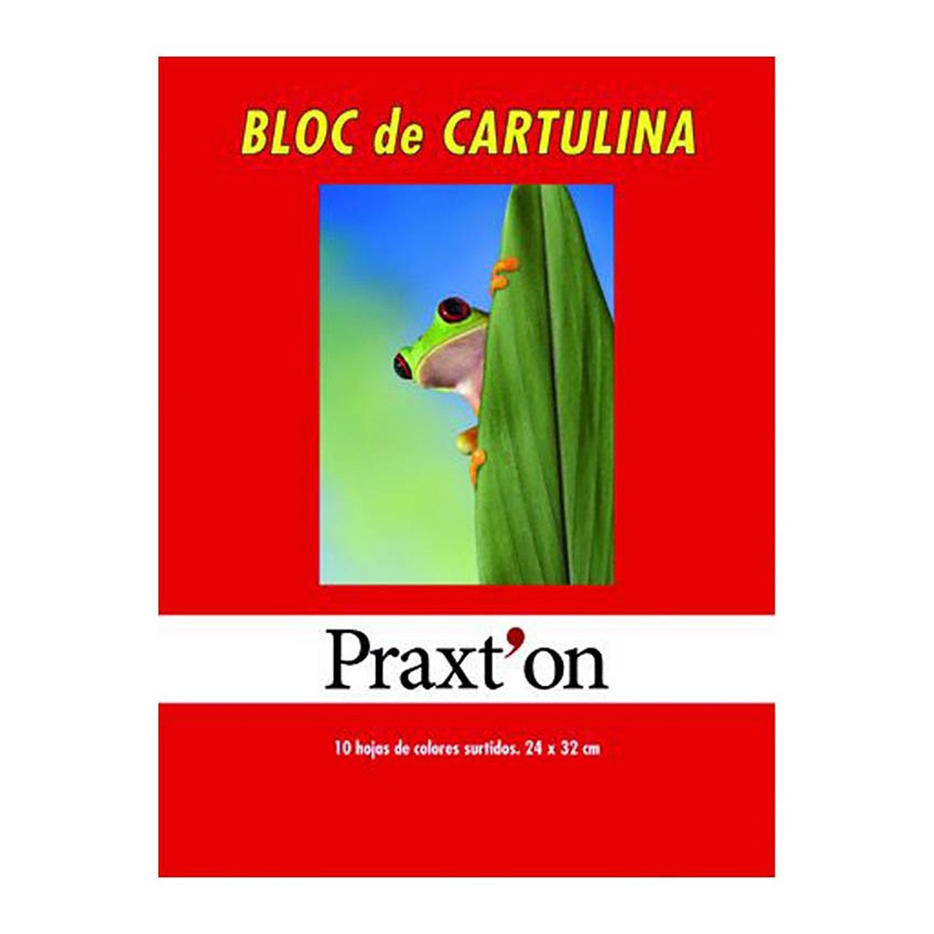 BLOC CARTULINA PRAXTON COLORES 24X32 180G 10H PAQUETE ud